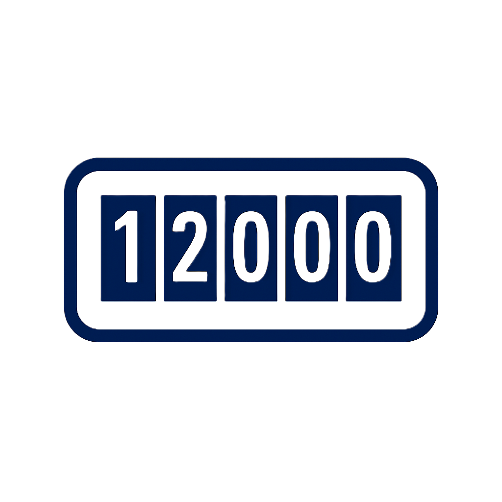 Mileage History & Discrepancies